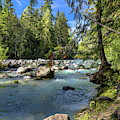 Small arm of Cheakamus River Photograph by Alex Lyubar Small arm of Cheakamus River Photograph by Alex Lyubar