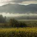 Smoky Mountain October 2 Photograph by Mike Eingle Smoky Mountain October 2 Photograph by Mike Eingle