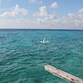 Snorkeling Photograph by Ruth Kamenev Snorkeling Photograph by Ruth Kamenev