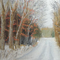 Snow on Bannockburn Rd by Jayne Wilson