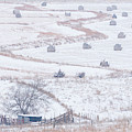 Snowy Fields -02 Photograph by Rob Graham