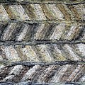 Sod House Pattern by Norman Burnham Sod House Pattern by Norman Burnham