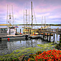 01 South Bay Working Dock Morro Bay California Photograph by Floyd Snyder 01 South Bay Working Dock Morro Bay California Photograph by Floyd Snyder