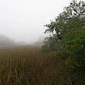 Southern Framed Fog Photograph by Dale Powell Southern Framed Fog Photograph by Dale Powell