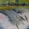 Spawning Salmon by Bev Morgan