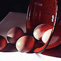 Spill of Eggs by Dianna Ponting Spill of Eggs by Dianna Ponting