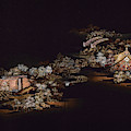 Spirit of Japan H25 by Miho Kanamori Spirit of Japan H25 by Miho Kanamori