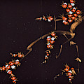 Spirit of Japan H9 by Miho Kanamori Spirit of Japan H9 by Miho Kanamori