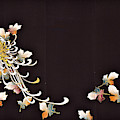 Spirit of Japan T35 by Miho Kanamori Spirit of Japan T35 by Miho Kanamori