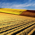 Spring Fields Photograph by Evgeni Dinev Spring Fields Photograph by Evgeni Dinev