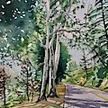 Spring on Lake Vista Painting by Luisa Millicent Spring on Lake Vista Painting by Luisa Millicent