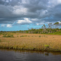 Spruce Creek Park Photograph by Tom Singleton Spruce Creek Park Photograph by Tom Singleton