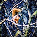 Squirrel in the Trees Mixed Media by Christopher Reed Squirrel in the Trees Mixed Media by Christopher Reed