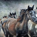 Stampede Painting by John Neeve Stampede Painting by John Neeve