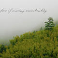 Stand Tall 2x1 Photograph by William Dickman