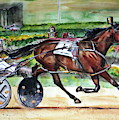 Standardbred Horse by Maria Reichert Standardbred Horse by Maria Reichert