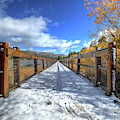 Stanfield Marsh Wildlife and Waterfowl Preserve Bridge Photograph by Eddie Yerkish Stanfield Marsh Wildlife and Waterfowl Preserve Bridge Photograph by Eddie Yerkish