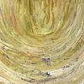 Star belt Painting by Medge Jaspan Star belt Painting by Medge Jaspan