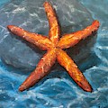 Starfish by Paul Emig Starfish by Paul Emig