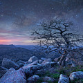 Stars Over Pine, Mount Scott Photograph by Tim Fitzharris Stars Over Pine, Mount Scott Photograph by Tim Fitzharris