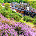 Steam train at Goathland, North York Moors by David Ross
