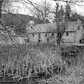 Stone and Reeds - Waterloo Village Photograph by Christopher Lotito Stone and Reeds - Waterloo Village Photograph by Christopher Lotito