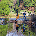 Stone Bridge, Brookside Gardens by Thomas Marchessault Stone Bridge, Brookside Gardens by Thomas Marchessault