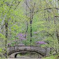 Stone Bridge In Spring by Tamara Becker