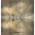 Submerged Photograph by Peggy Dietz Submerged Photograph by Peggy Dietz