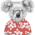 Summer koala Drawing by Balazs Solti Summer koala Drawing by Balazs Solti