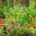 Summertime in the Flower Garden Photograph by Ola Allen