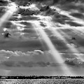 SunBeam Breakout Photograph by Charles McCleanon SunBeam Breakout Photograph by Charles McCleanon