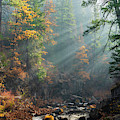 Sunbeams on the McCloud River Photograph by Don Hoekwater Photography Sunbeams on the McCloud River Photograph by Don Hoekwater Photography