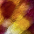 Sunflower abstract Photograph by Phillip Rubino Sunflower abstract Photograph by Phillip Rubino