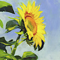 Sunflower Painting by Marsha Karle Sunflower Painting by Marsha Karle