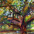 Sunlit Century Tree Painting by Hailey E Herrera Sunlit Century Tree Painting by Hailey E Herrera