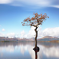 Sunny afternoon on Loch Lomond Photograph by Grant Glendinning Sunny afternoon on Loch Lomond Photograph by Grant Glendinning