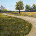Sunny Meadow by Jayne Wilson