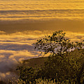 Sunset over the clouds, Los Padres National Forest, California Photograph by Julieta Belmont Sunset over the clouds, Los Padres National Forest, California Photograph by Julieta Belmont