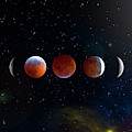 Super Blood Wolf Moon Phases Photograph by Mark Andrew Thomas