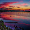 Sunset in the Pines Lands Photograph by Louis Dallara Sunset in the Pines Lands Photograph by Louis Dallara
