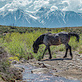 _t__0634 Photograph by John T Humphrey _t__0634 Photograph by John T Humphrey