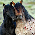 _t__2748 Photograph by John T Humphrey _t__2748 Photograph by John T Humphrey