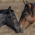 _t__6144 Photograph by John T Humphrey _t__6144 Photograph by John T Humphrey