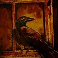 Th Raven - Nevermore by Ryan Almighty