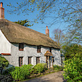 Thatched Cottage, Church Cove, Cornwall by David Ross