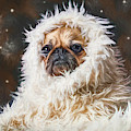 The Abominable Pug Painting by Tina LeCour The Abominable Pug Painting by Tina LeCour