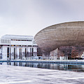 The Albany Egg by Sandra Foyt