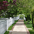 The Arbor Digital Art by Kirt Tisdale The Arbor Digital Art by Kirt Tisdale