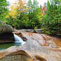 The Basin Fall by Robert Clifford